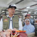 WhatsApp Image 2026-02-28 at 15.50.38