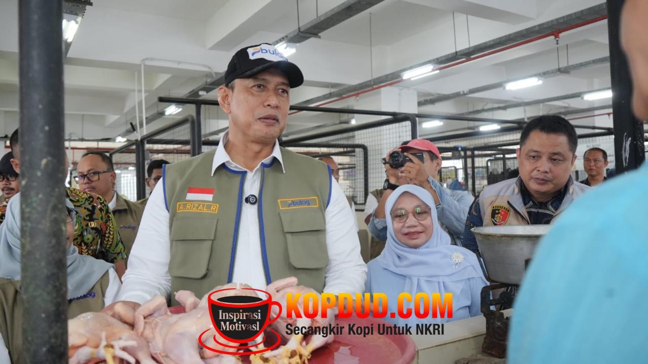 WhatsApp Image 2026-02-28 at 15.50.38