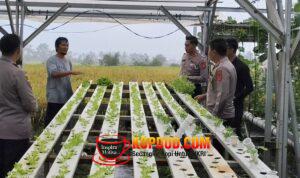 Greenhouse Polres Sukabumi, Inovasi Pangan Sehat untuk Warga