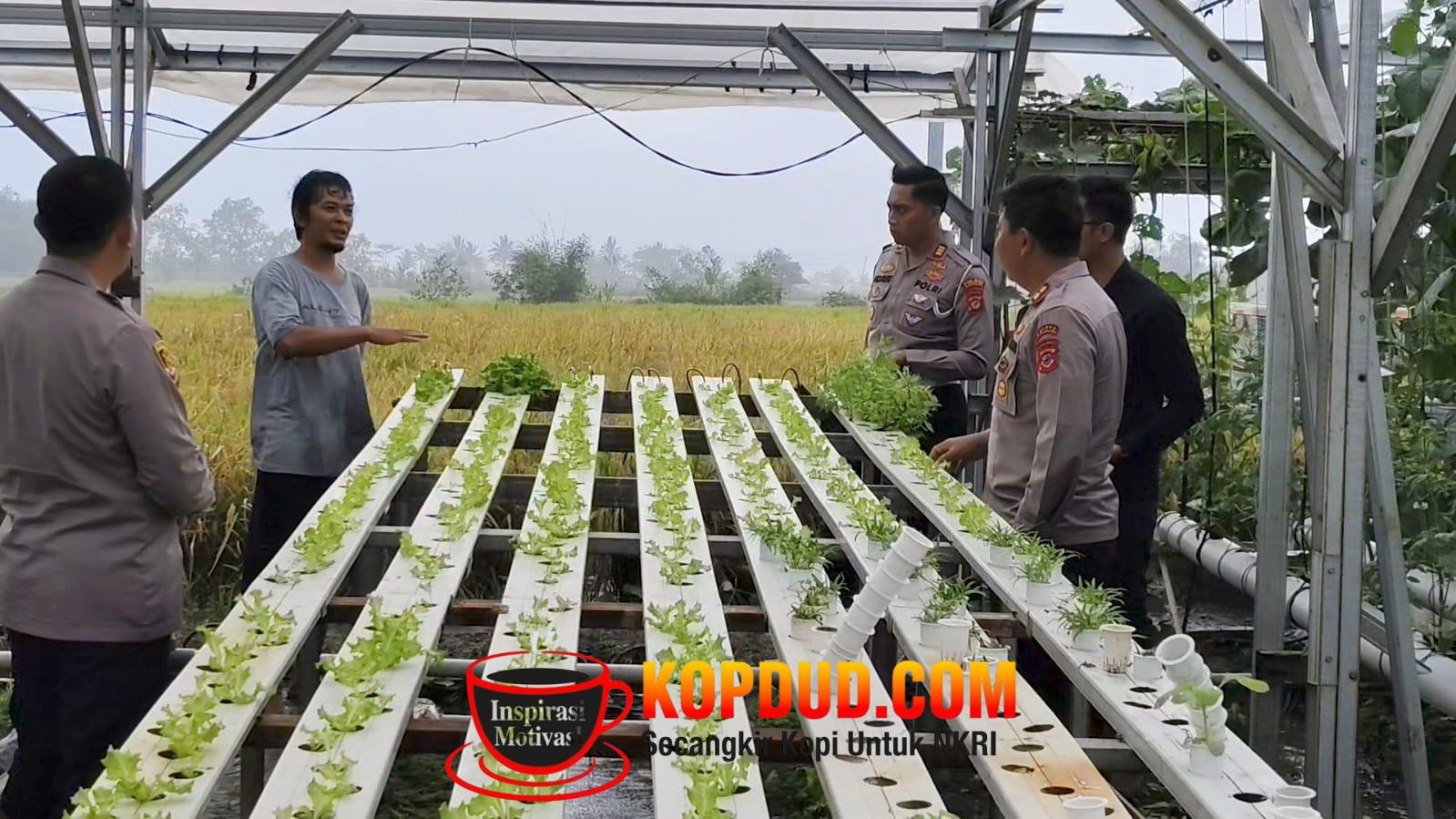 Greenhouse Polres Sukabumi, Inovasi Pangan Sehat untuk Warga