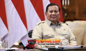 WhatsApp Image 2026-03-19 at 22.15.19