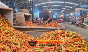 WhatsApp Image 2026-03-23 at 18.28.34