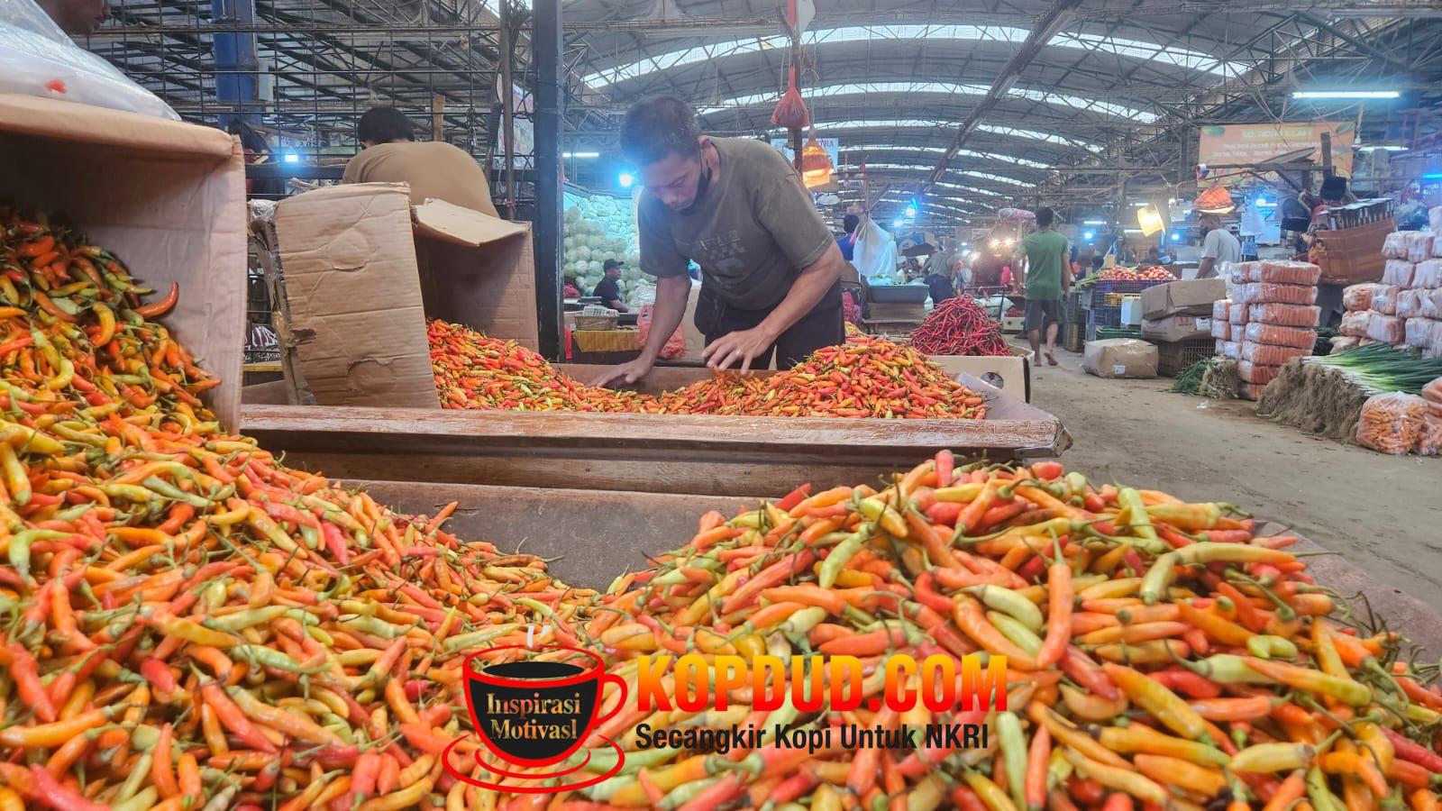 WhatsApp Image 2026-03-23 at 18.28.34