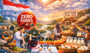 Satu Tahun Sukabumi Mubarokah: Peternakan Terus Berkembang