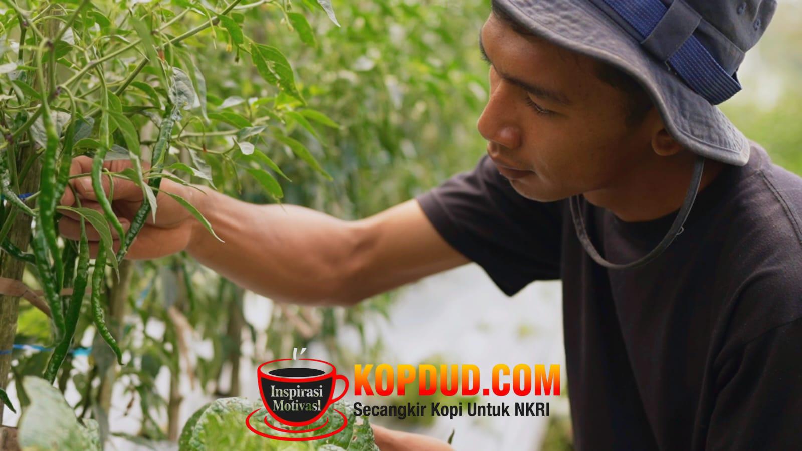 Harga Sayur Lebih Stabil Setelah Ada MBG, Petani Boyolali Harap Program Terus Berlanjut