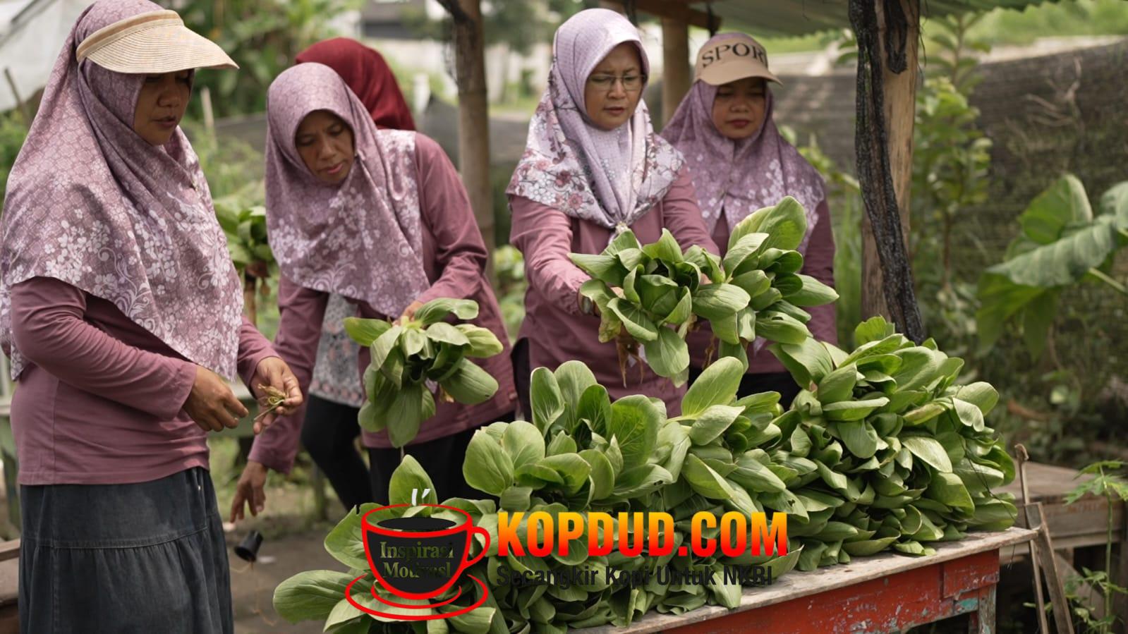 WhatsApp Image 2026-04-03 at 13.53.23 (1)