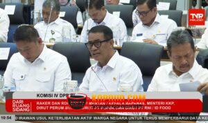 Pemerintah: Ketersediaan Jagung, Gula, hingga Telur Ayam Diproyeksikan Surplus Jelang El Nino Godzilla