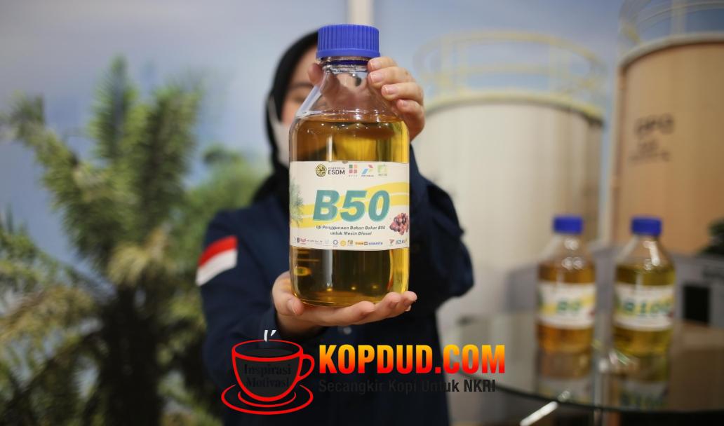 WhatsApp Image 2026-04-07 at 18.15.12