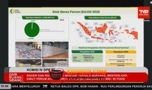 WhatsApp Image 2026-04-07 at 18.15.17