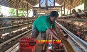 WhatsApp Image 2026-04-24 at 19.57.45