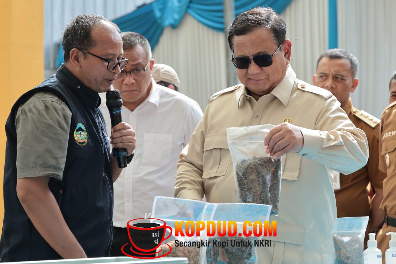 WhatsApp Image 2026-04-29 at 07.50.19