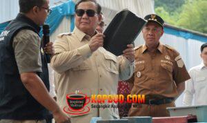 WhatsApp Image 2026-04-29 at 07.50.20