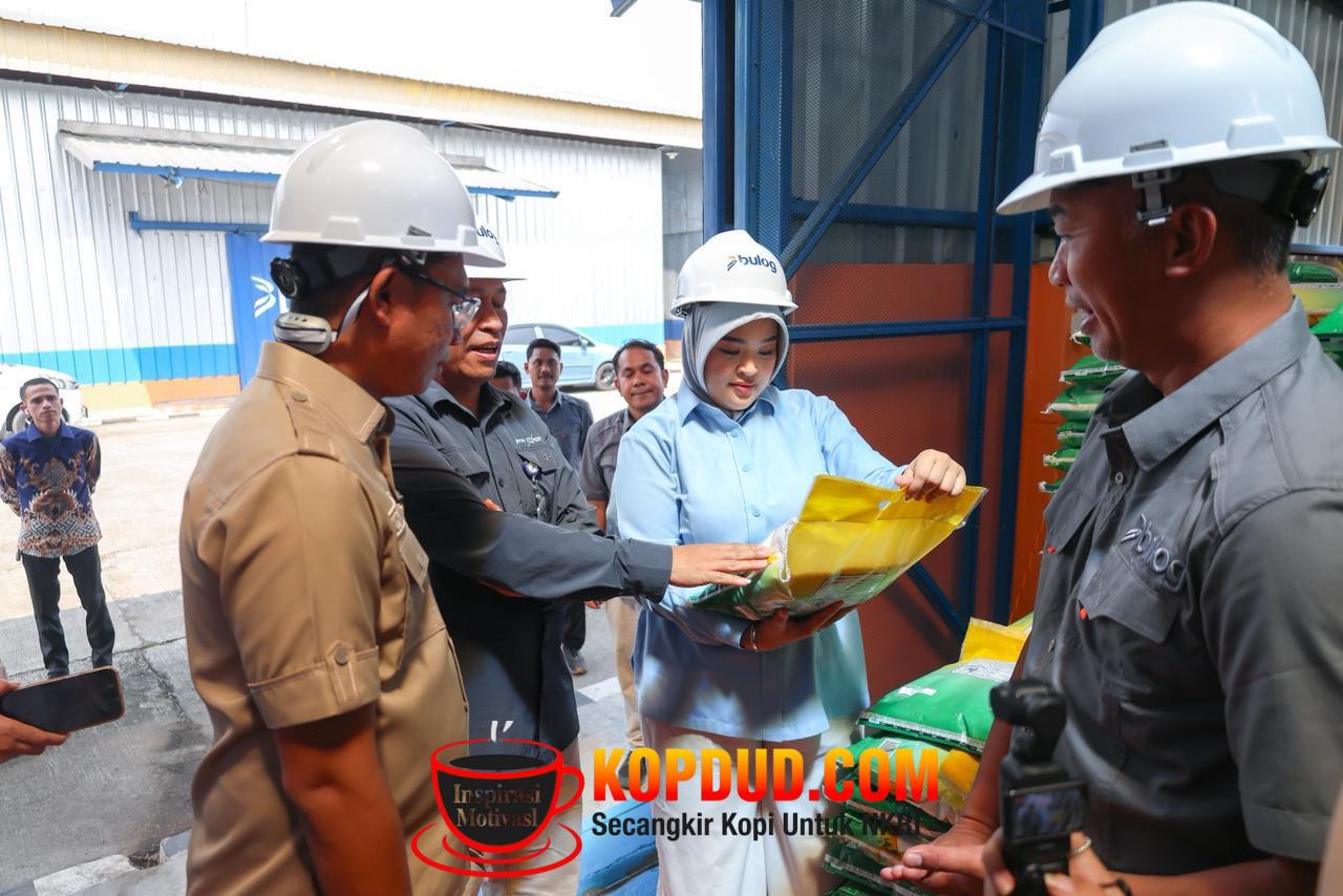 Pastikan Stok Beras Aman, Anggota DPR RI Fraksi Partai Gerindra Annisa Mahesa Sidak Gudang Bulog Serang