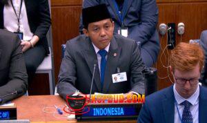 Penurunan Kebakaran Hutan hingga Pengakuan Hutan Adat Disampaikan Pemerintah Indonesia di Forum PBB