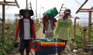 Penghasilan Naik, Uang Sekolah Terjamin, Petani di Cipanas Rasakan Dampak Nyata MBG