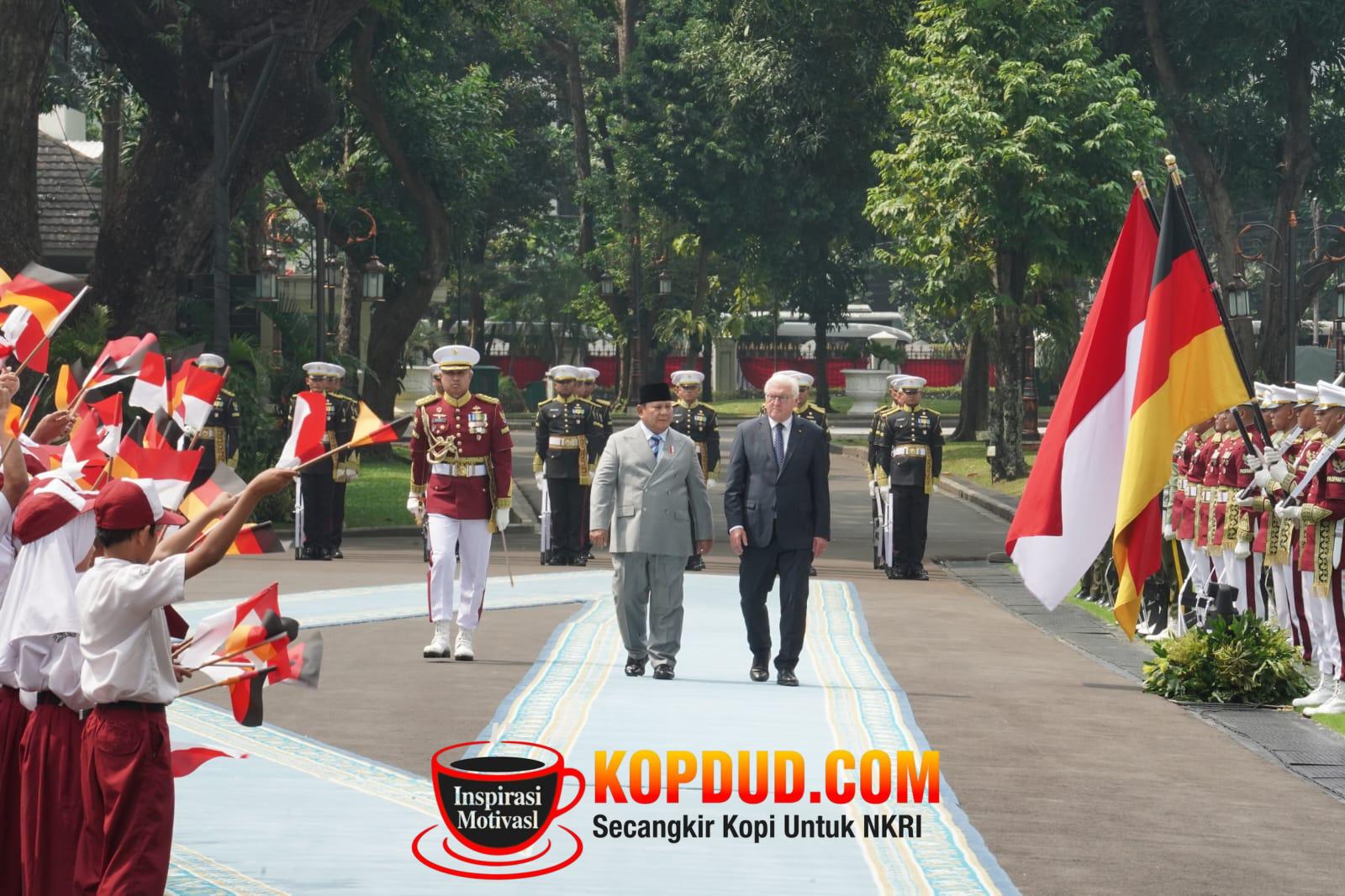 Perluas Investasi di Energi Terbarukan hingga Kendaraan Listrik, Prabowo Ajak Jerman Jadi Mitra