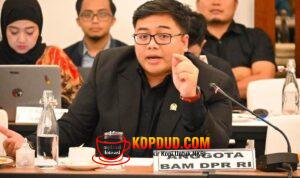 Legislator Partai Gerindra Jangan Sampai Perusahaan Digital Global Untung Besar, Indonesia Hanya Jadi Pasar