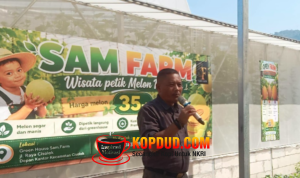 Wisata Petik Melon di Cisolok Resmi Dibuka, Dorong Pertanian Terintegrasi dan Ekonomi Lokal
